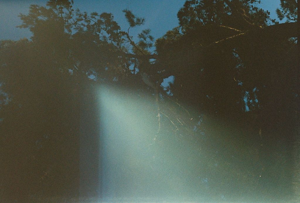 Why I’m Not A&nbsp;Naturalist.